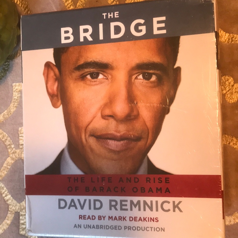 The Bridge (Audiobook)